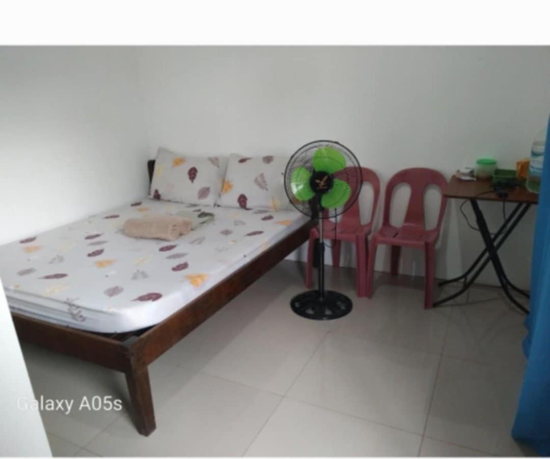 Francis Home Stay Port Barton Bonifacio Street San Vicente  Exterior photo